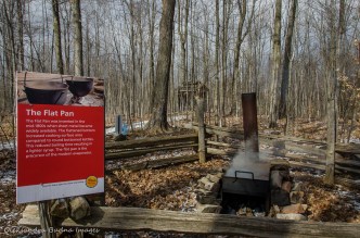 maple syrup making demonstration at Mountsber Conservation Area