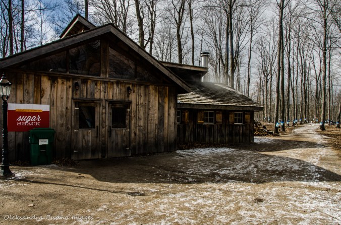 sugar shack at Mountsber Conservation Area