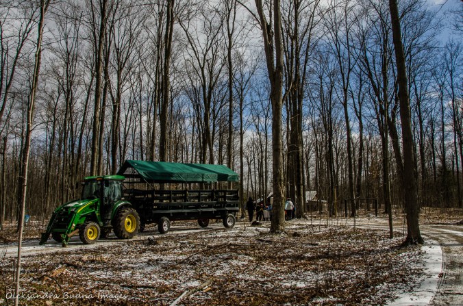 wagon at Mountsber Conservation Area