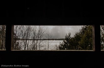 view from an observation tower at Mountsber Conservation Area