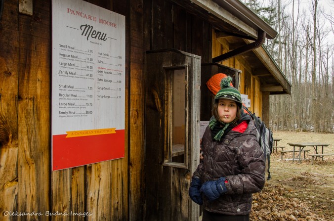 Pancake pavilion at Mountsber Conservation Area