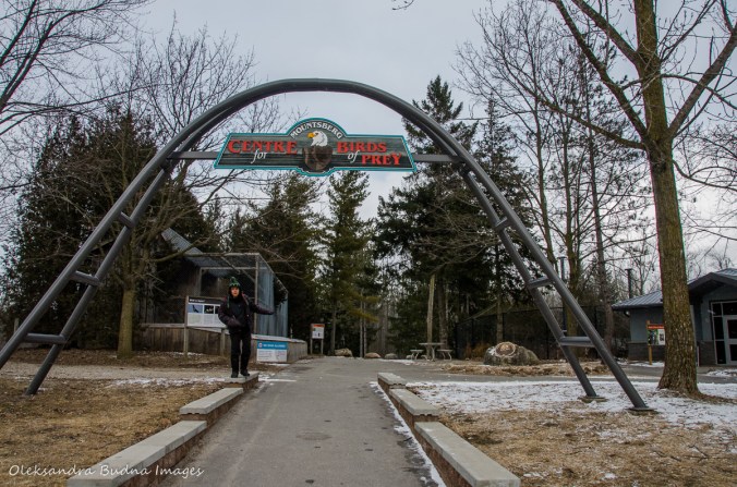 Raptor Centre at Mountsber Conservation Area