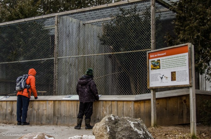 Raptor Centre at Mountsber Conservation Area