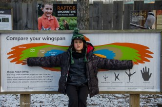 Raptor Centre at Mountsber Conservation Area