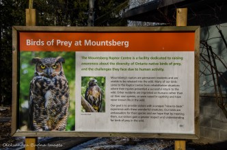 Raptor Centre at Mountsber Conservation Area