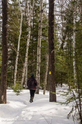 hiking Transition Trail at Windy Lake in the winter