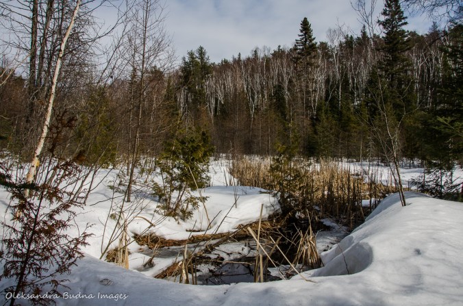 hiking Transition Trail at Windy Lake in the winter