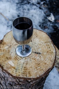 glass of wine on a tree stump