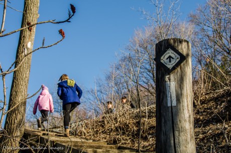 hiking Bruce trail near Hamilton