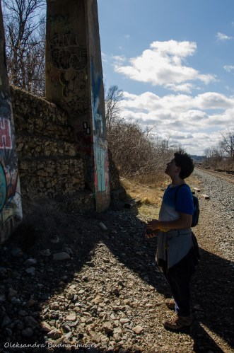 hiking Bruce Trail aroung Hamilton