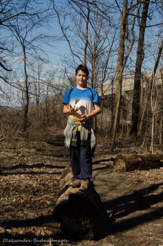 hiking Bruce Trail aroung Hamilton