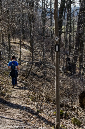 hiking Bruce Trail