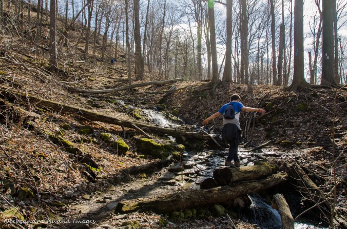hiking Bruce Trail around Hamilton