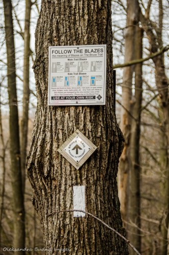 Bruce trail blazes
