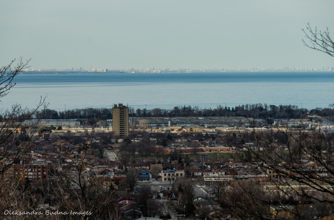 View from the Devil's Punch Bowl Conservation Area