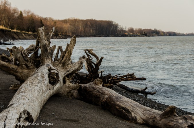 beach at Wheatley Provincial Park