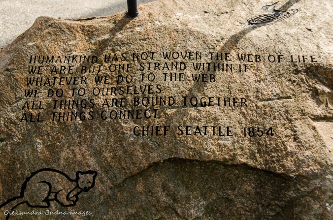 quote by Chief Seattle at Point Pelee