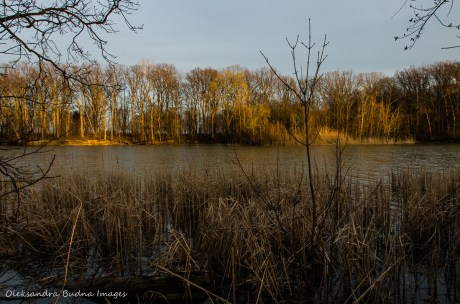evening at Wheatley Provincial Park