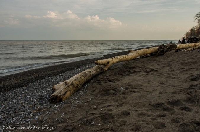 beach at Wheatley Provincial Park