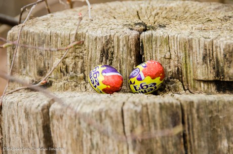 Easter egg hunt