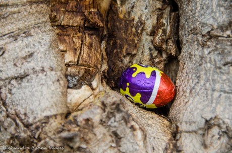 Easter egg hunt