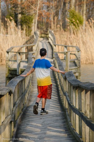 footbridge at Wheatley Provincial Park