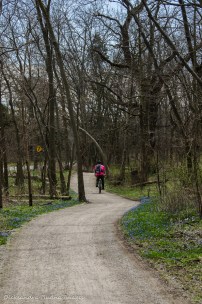 biking at Point Pelee