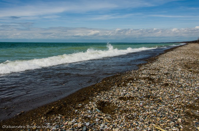 beach at Point Pelee