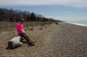 beach at Point Pelee