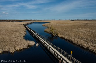 Marsh Boardwalk at Point Pelee National Park