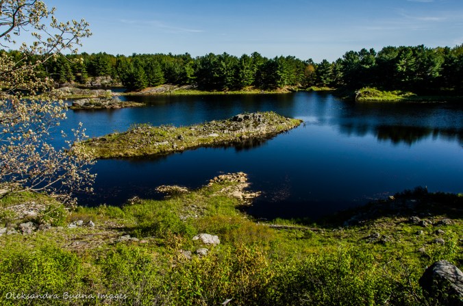 Mink Lake at Frontenac Provincial Park