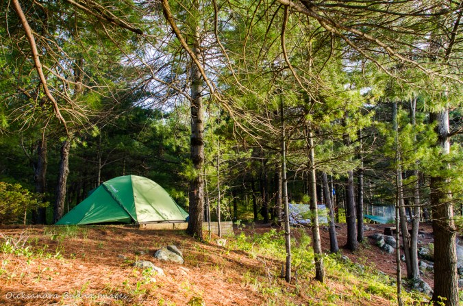 campsites 4 at Frontenac Provincial Park