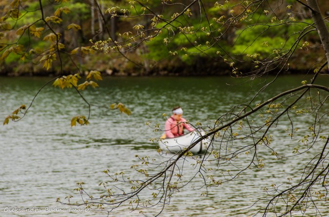 paddling on Big Salmon Lake in Frontenac