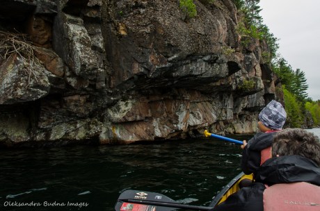 paddling on Big Salmon Lake in Frontenac