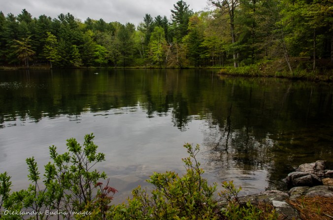 view from campsite 4C on Big Salmon Lake in Frontenac