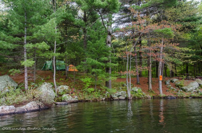 cluster 4 campsites at Frontenac Provincial Park