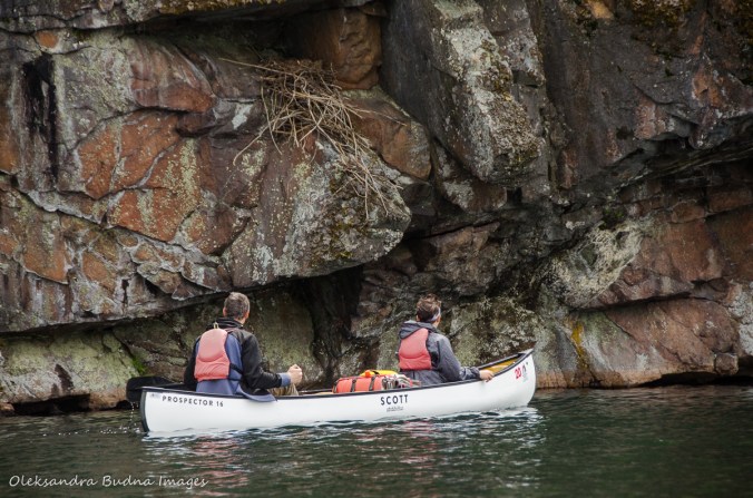 paddling on Big Salmon Lake in Frontenac