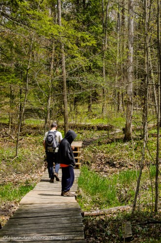 hiking at happy Valley Forest