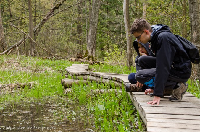hiking at Happy Valley Forest