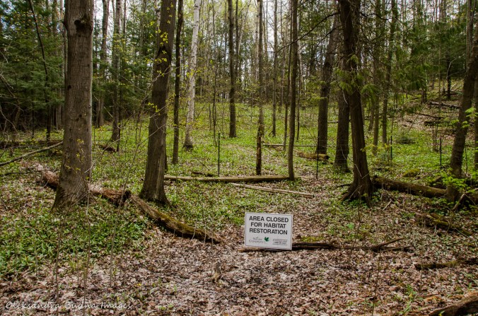 hiking at Happy Valley Forest