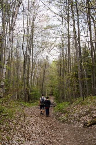 hiking at Happy Valley Forest