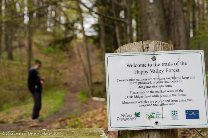 hiking at Happy Valley Forest