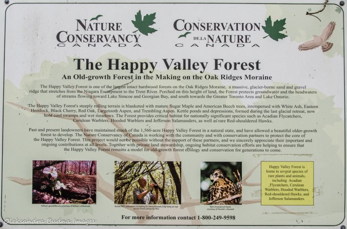 Happy Valley Forest information panel