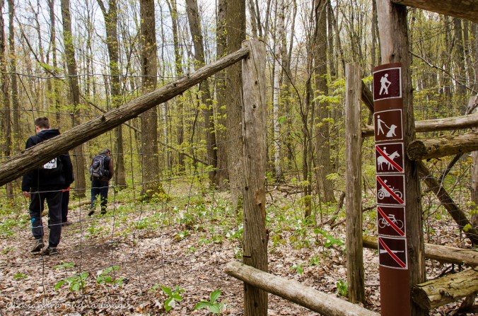 hiking at Happy Valley Forest