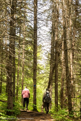 hiking Centennial Ridges trail in Algonquin