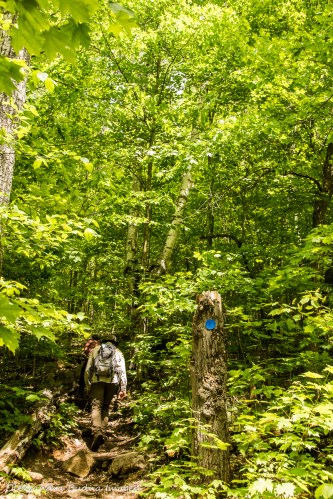 hiking Centennial Ridges trail in Algonquin