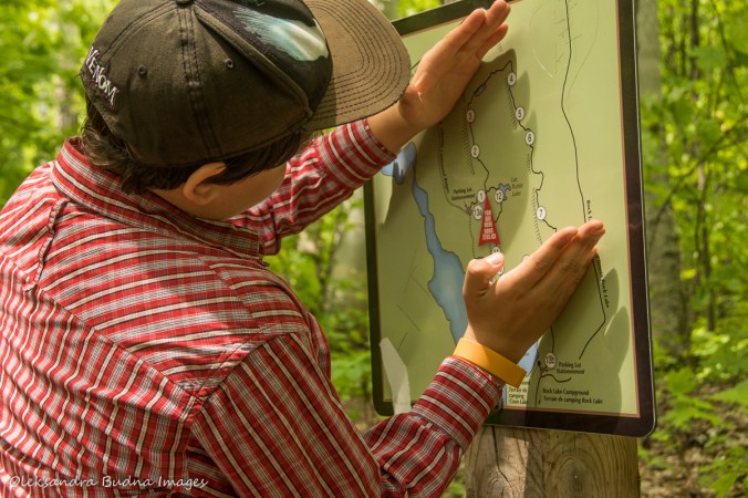 Looking at the map of Centennial Ridges trail in Algonquin