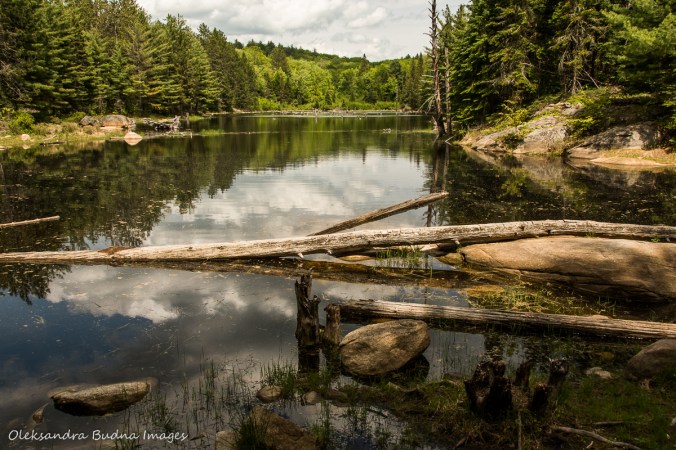 hiking Centennial Ridges trail in Algonquin