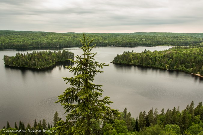 view of Whitefish Lake from Centennial Ridges trail in Algonquin