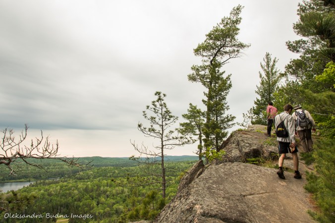 hiking Centennial Ridges trail in Algonquin